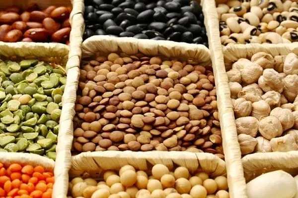 ۷۲۰ هزار تن حبوبات در کشور تولید می‌شود