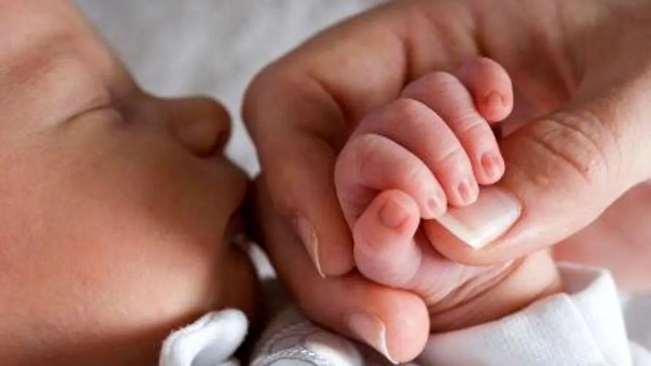 متولدین ۱۴۰۱ منتظر فراخوان باشند / اختصاص سهام رایگان بورسی برای این گروه
