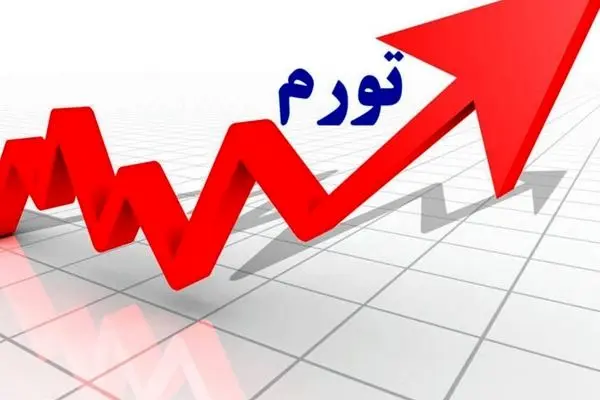 آمار واقعی تورم فاش شد؛ افشاگری عجیب یک نماینده مجلس