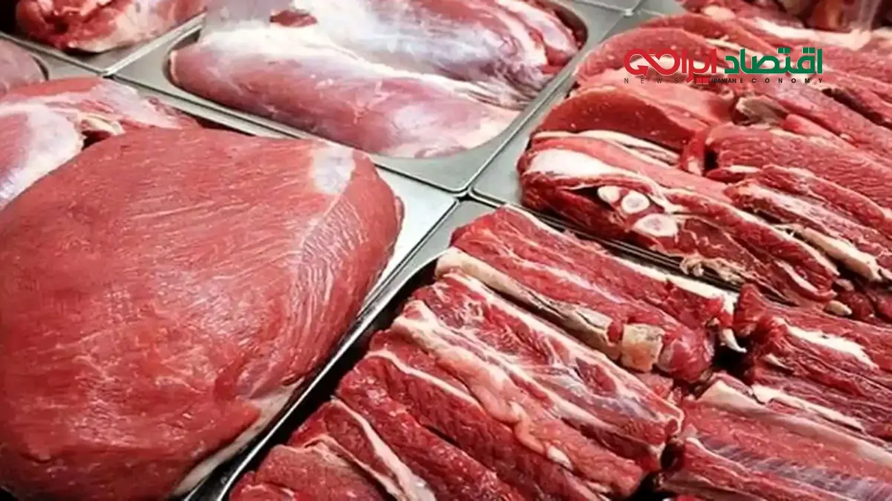 ورود روزانه ۲۰۰ تن گوشت قرمز وارداتی به بازار