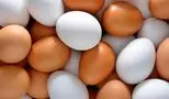افزایش بی‌سابقه قیمت تخم مرغ؛ شانه‌ای چند؟