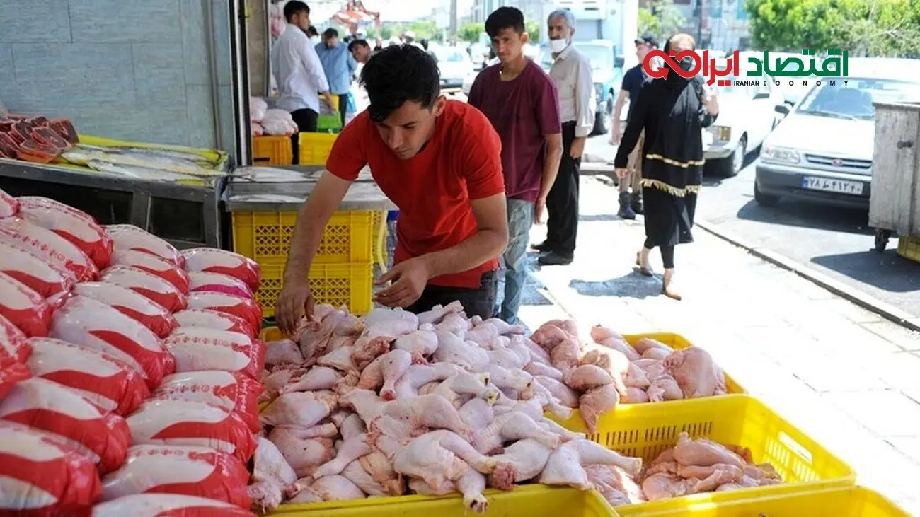 آخرین قیمت گوشت مرغ و گوسفندی / بازار مرغ به ثبات نسبی رسیده !