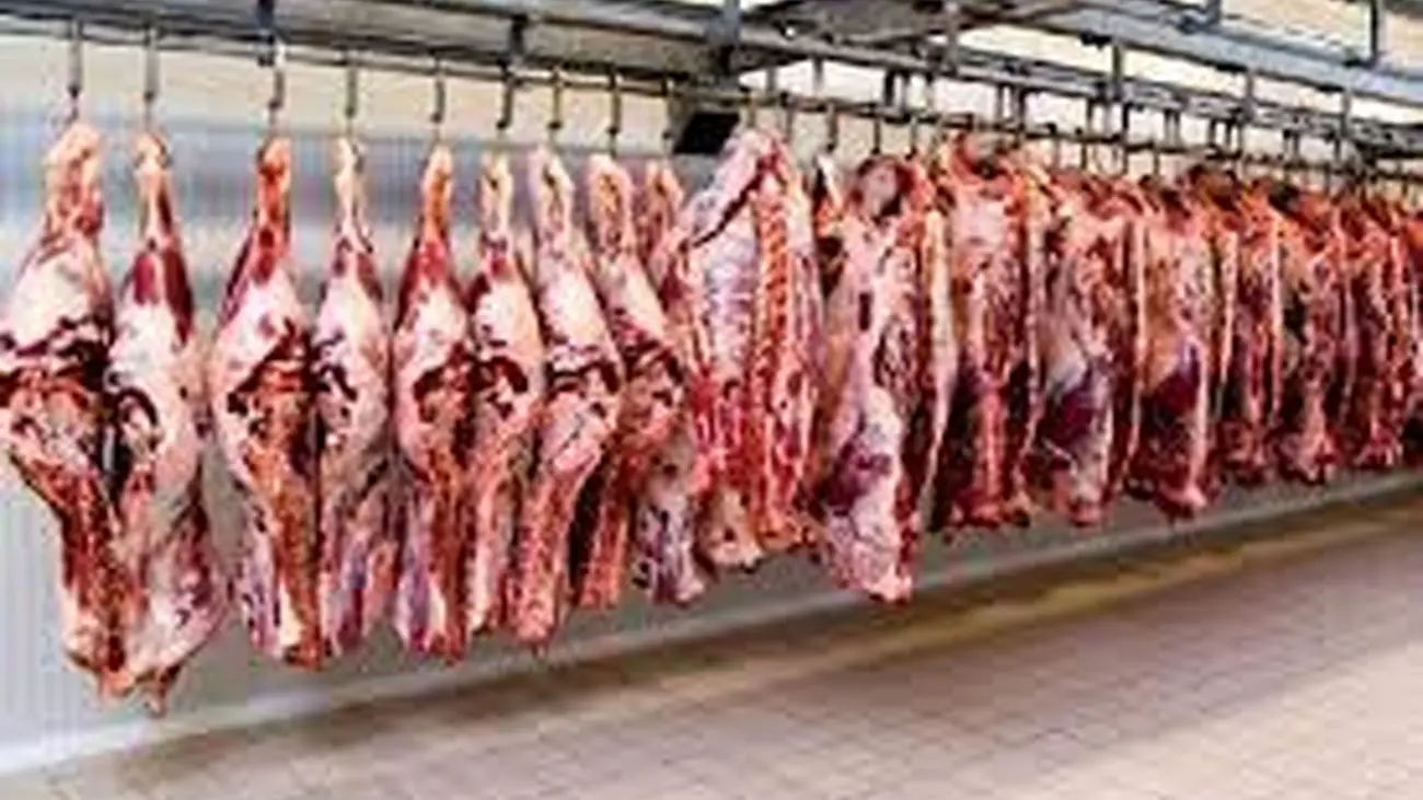 واردات گوشت قرمز کنیا به نفع ایران است؟