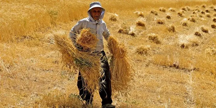 48 هزار میلیارد تومان پول گندم کاران کجاست؟