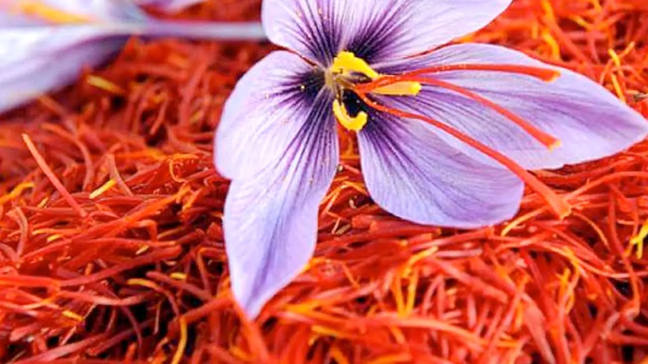قیمت طلای سرخ عقب‌نشینی کرد 