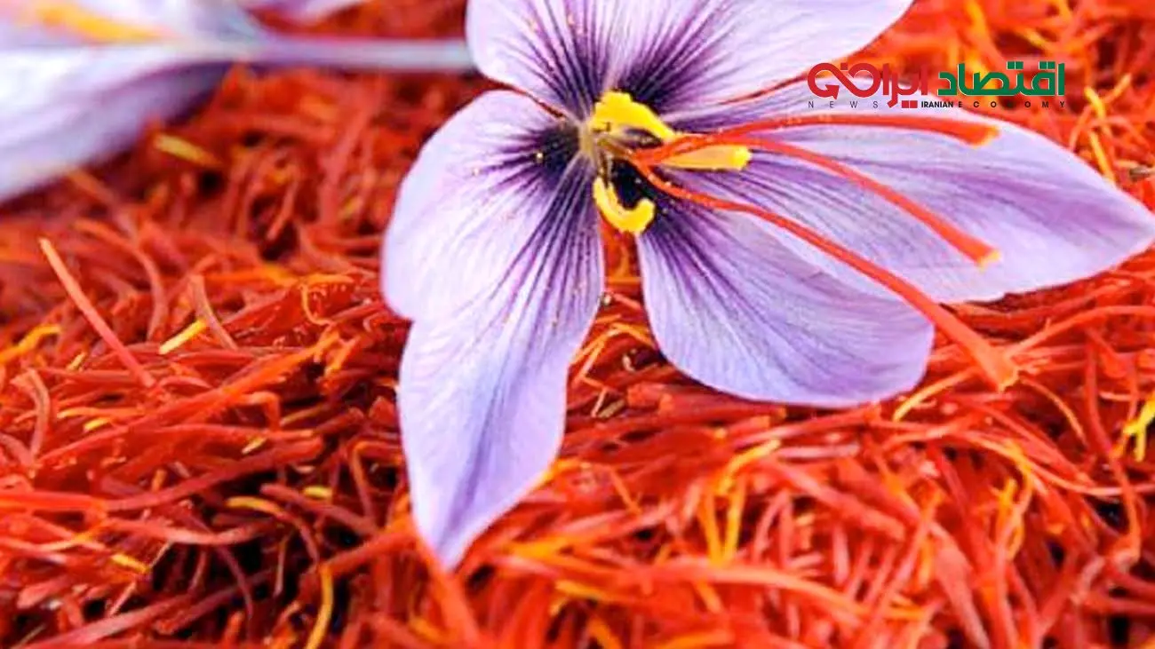 قیمت طلای سرخ عقب‌نشینی کرد 