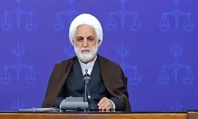 محسنی اژه‌ای: اقدام پدر امیرمحمدخالقی درس آموز بود