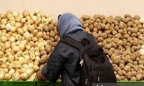 قیمت سیب‌زمینی ارزان شد! + جزییات