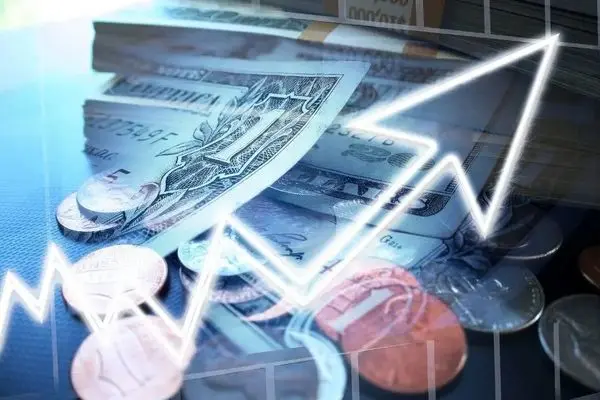 آیا سود سهام واریز شده؟ همه چیز درباره تشخیص واریزی سود سهام