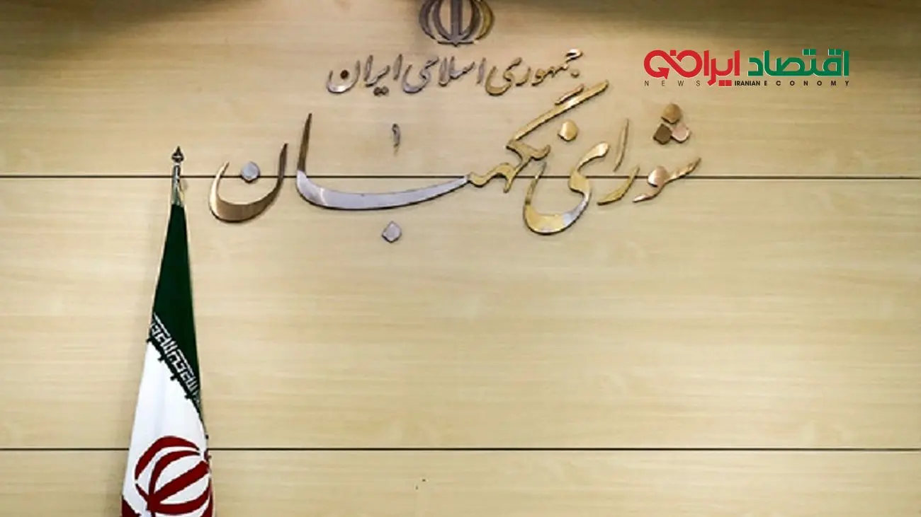 بودجه ۶۳۰ هزار میلیون تومانی شورای نگهبان برای یک سال به روایت یک اقتصاددان +فیلم