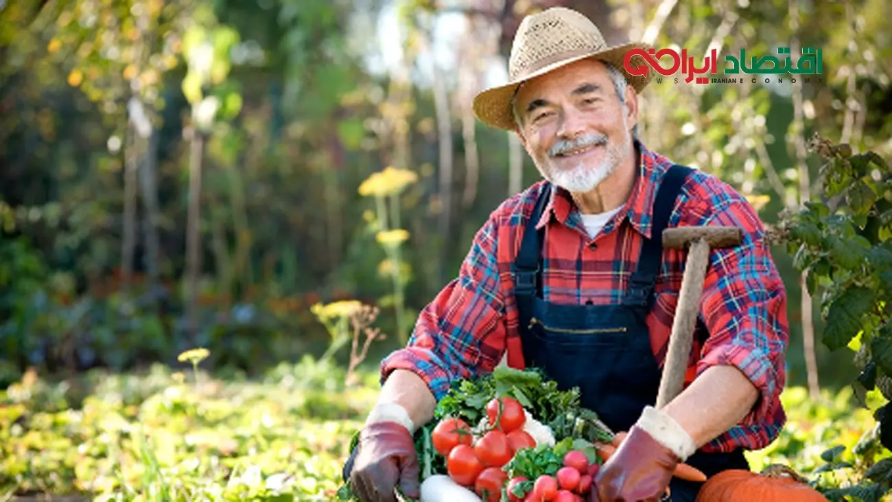 تکلیف مستمری بگیران کشاورزی چه زمانی روشن میشود؟ / معاون وزیر تعاون خبر داد