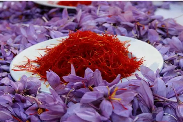 زعفران در بورس چه می کند؟