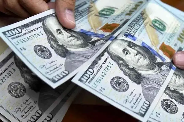 ارز ترجیحی کالاهای اساسی حذف می شود؟