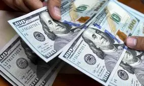 ارز ترجیحی کالاهای اساسی حذف می شود؟