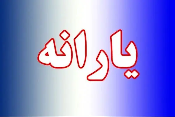 چالش‌های مردم در سامانه ثبت اعتراض به حذف یارانه