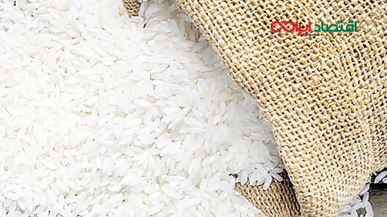 برنج ارزان می شود؟