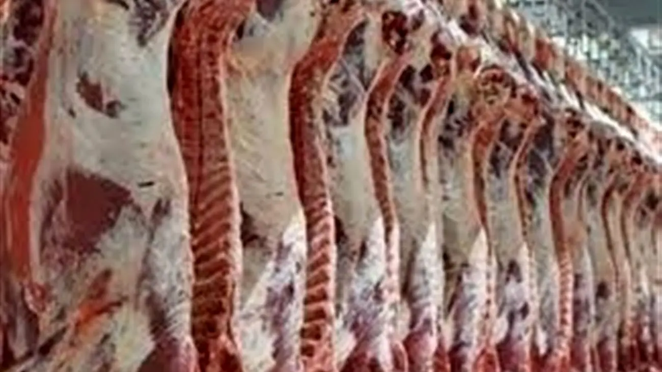 توزیع گوشت گوسفندی خارجی در تهران / هر کیلو چند ؟!