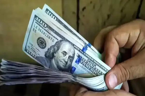 پیش‌بینی عجیب قیمت دلار توسط فعال اقتصادی معروف