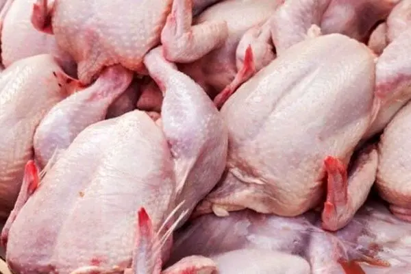 نتیجه تلخ قیمت‌گذاری دستوری؛ مرغ از سفره‌ها خداحافظی کرد !