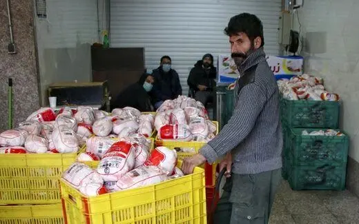 مرغ نسبت به دو ماه قبل ارزان شد