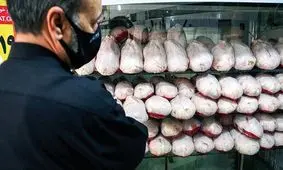 هرگونه افزایش قیمت مرغ ممنوع است / قیمت تمام شده مرغ برای مرغدار ۵۷ هزار تومان