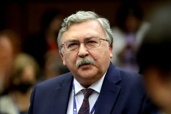 استقبال اولیانوف از ابلاغ قانون پیوستن ایران به سی‌اف‌تی