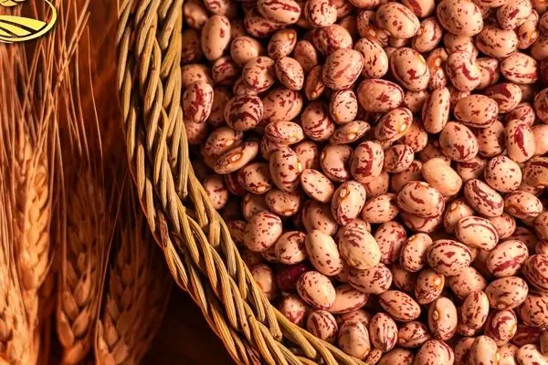 قیمت لوبیا چیتی رکورد جدید گرانی در بازار را ثبت کرد