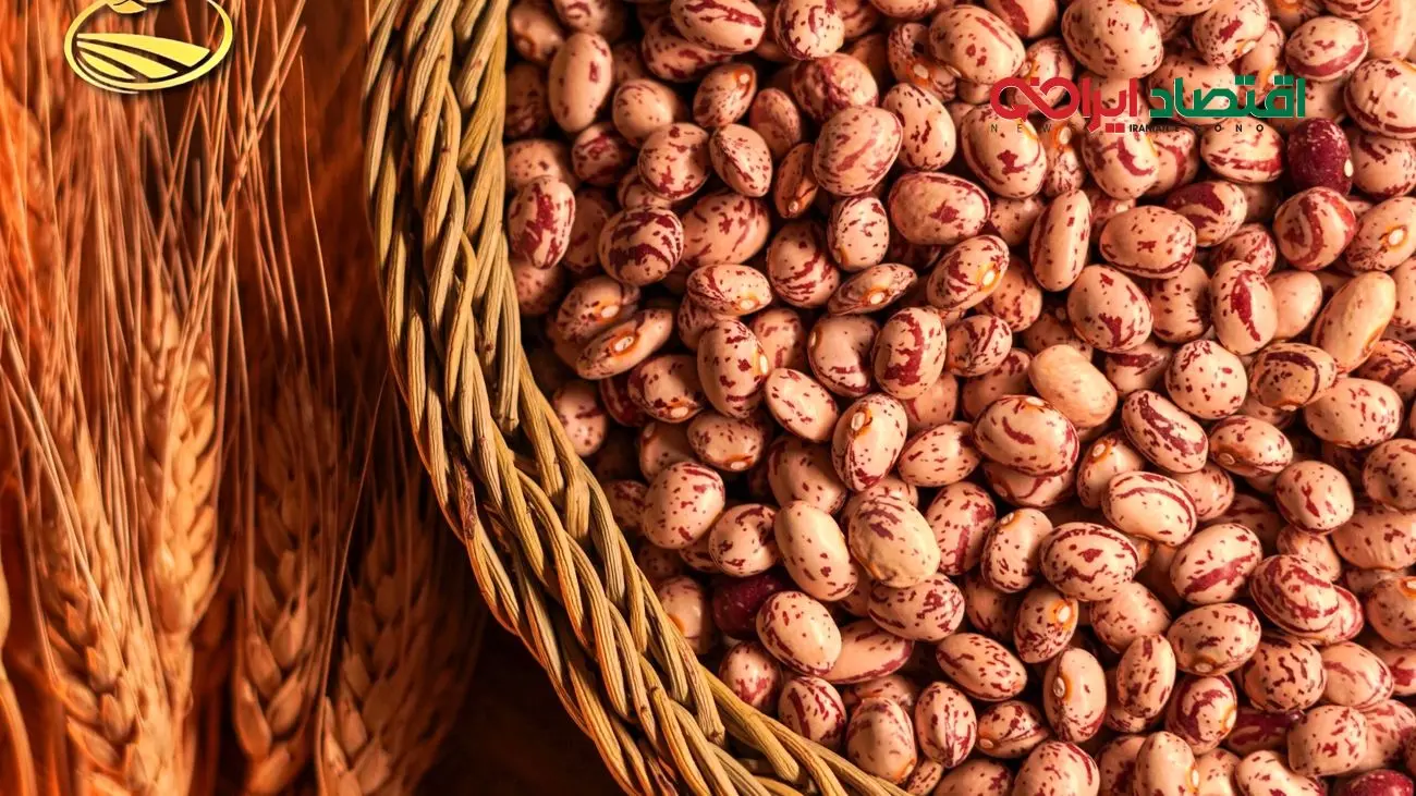 قیمت لوبیا چیتی رکورد جدید گرانی در بازار را ثبت کرد