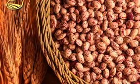 قیمت لوبیا چیتی رکورد جدید گرانی در بازار را ثبت کرد