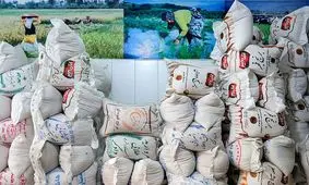 خبر خوش برای خریداران برنج ایرانی