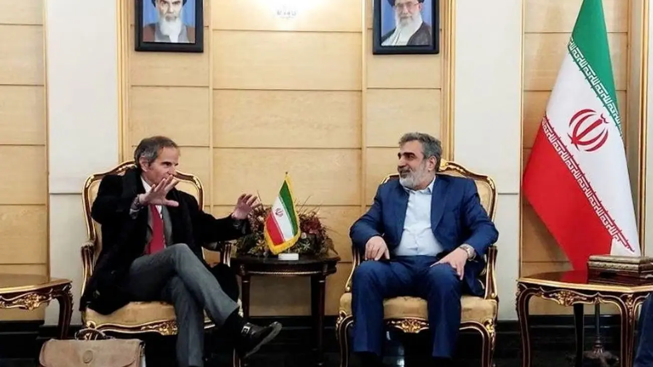 رئیس سازمان بینالمللی انرژی اتمی وارد ایران شد