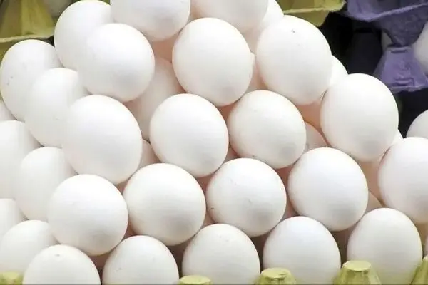 قیمت تخم‌مرغ مشخص شد! از این نرخ بیشتر نخرید!