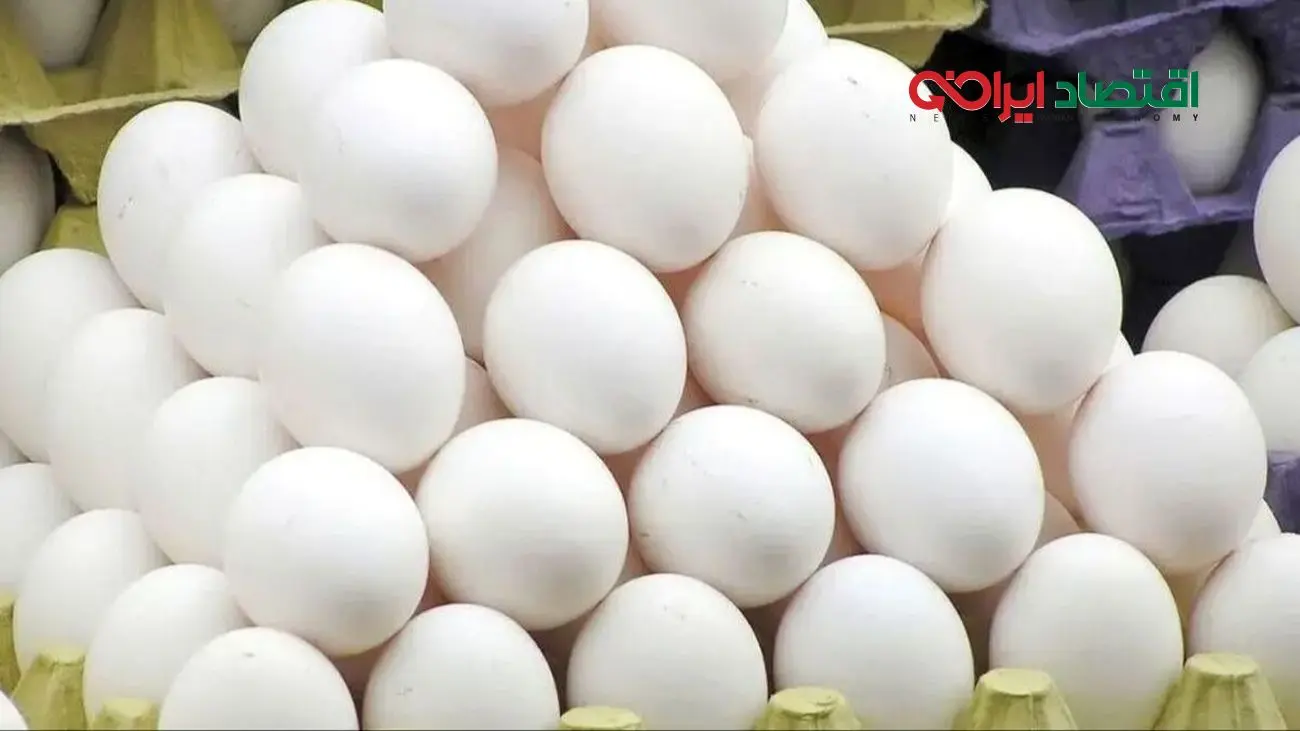 قیمت تخم‌مرغ مشخص شد! از این نرخ بیشتر نخرید!