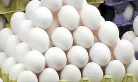 قیمت تخم‌مرغ مشخص شد! از این نرخ بیشتر نخرید!