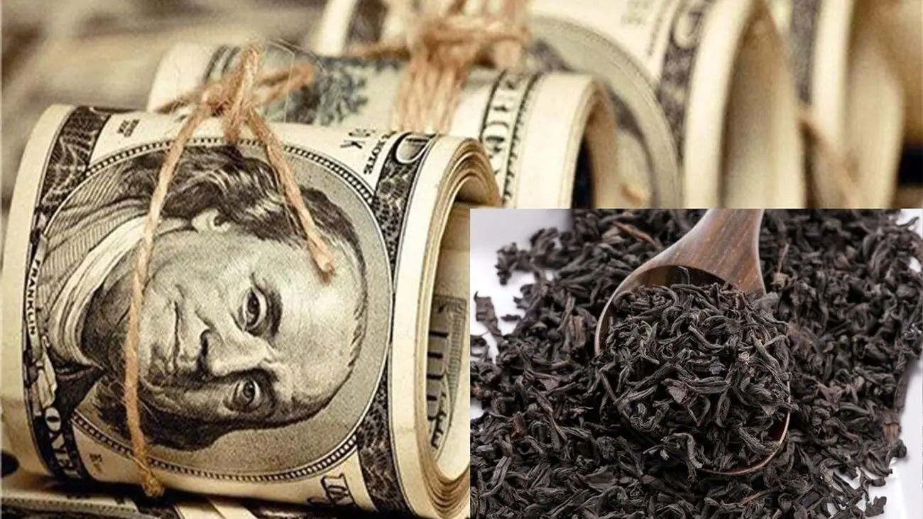 محکومیت سنگین در پرونده چای دبش/ از 82 سال زندان تا جریمه 60 هزار میلیاردی!