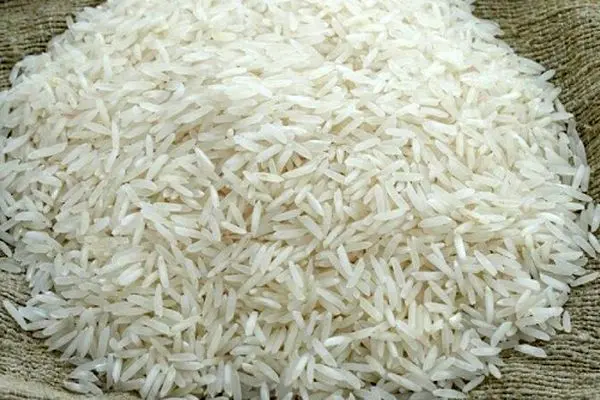 لیست قیمت برنج وارداتی امروز ۲۵ مهر ۱۴۰۴ / برنج هندی و پاکستانی کیلویی چند؟