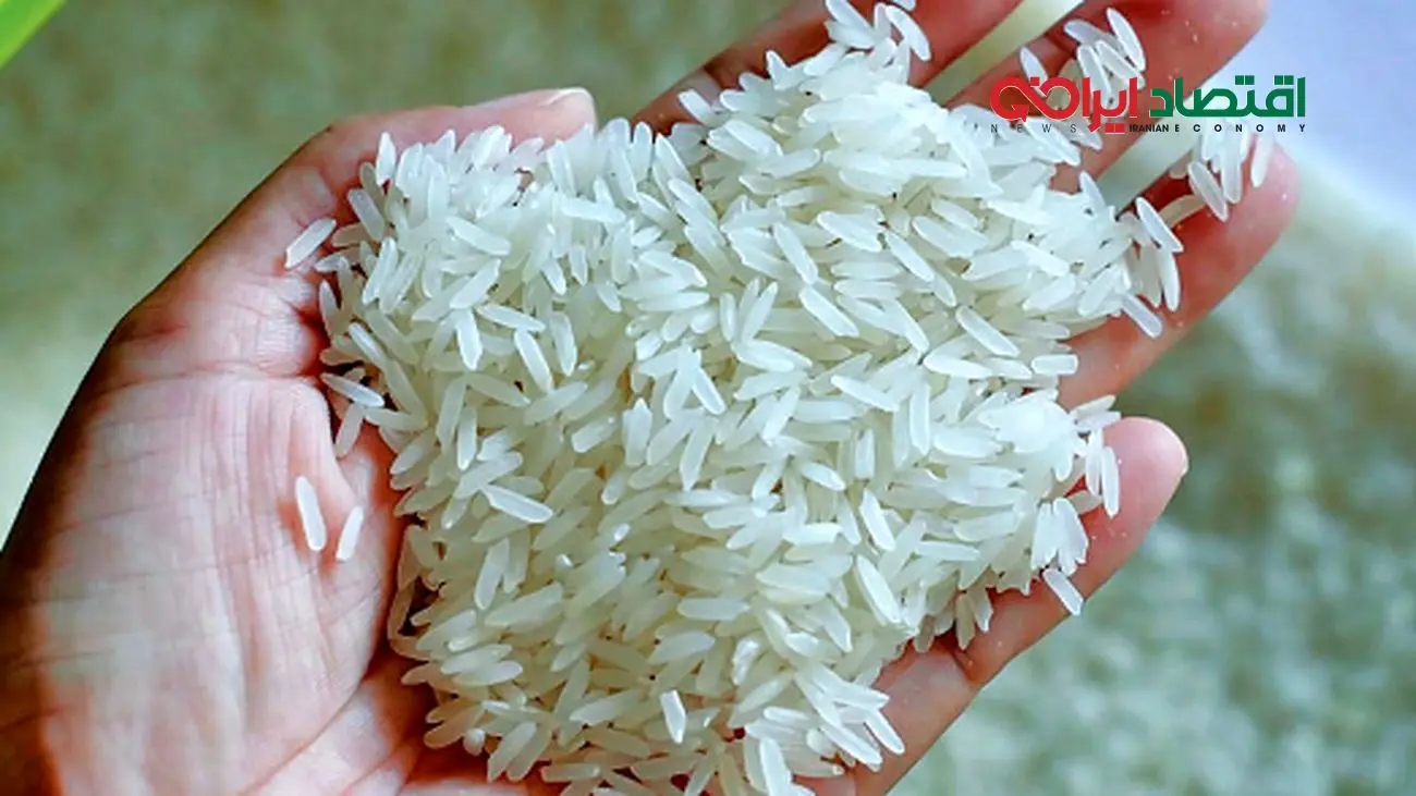 خطاب وزیر به بازار برنج/ گوش شنوایی نیست!
