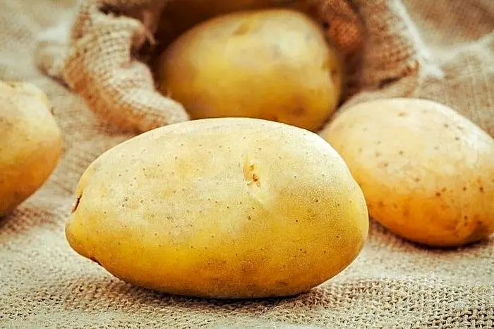سم سیب زمینی 