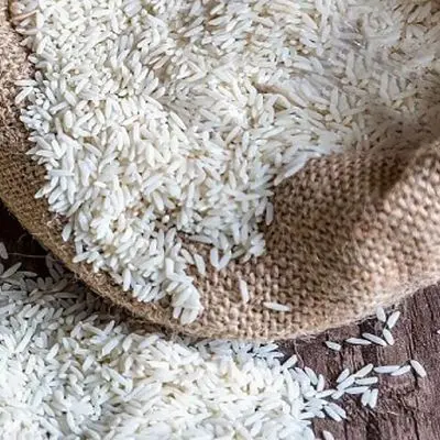 برنج پاکستانی با هویت جعلی ایرانی سر سفره‌ها؛ بازی دلال‌ها با جیب مردم!