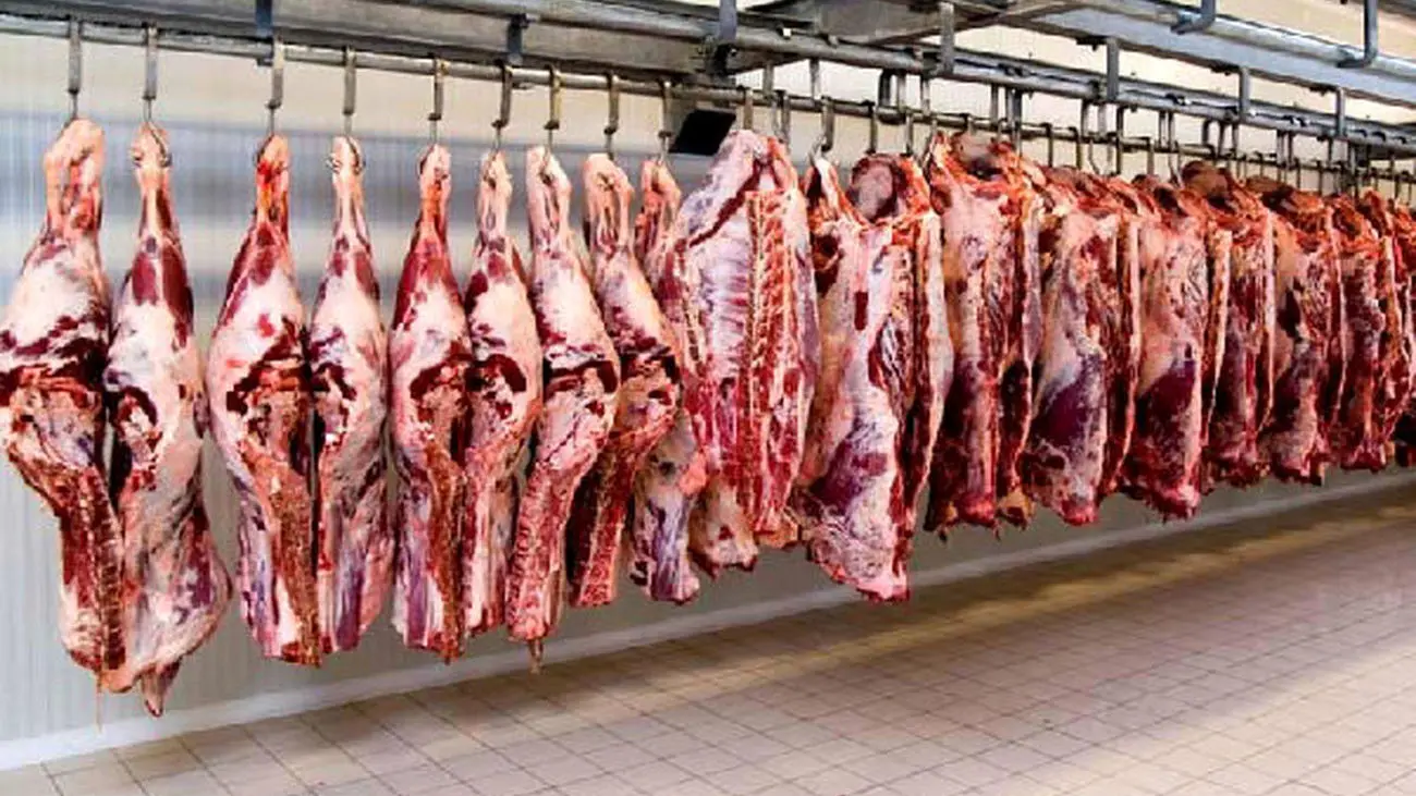 لیست جدید قیمت گوشت گوسفندی / یک کیلو راسته گوسفندی چند ؟ + جدول