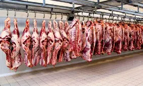 قیمت گوشت امروز یکشنبه  ۷ خرداد  ۱۴۰۲  /  قیمت ها ثابت ماند