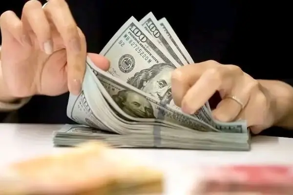 قیمت دلار امروز ۷ مرداد ۱۴۰۳ /  ارزهای مهم فریز شد +فیلم
