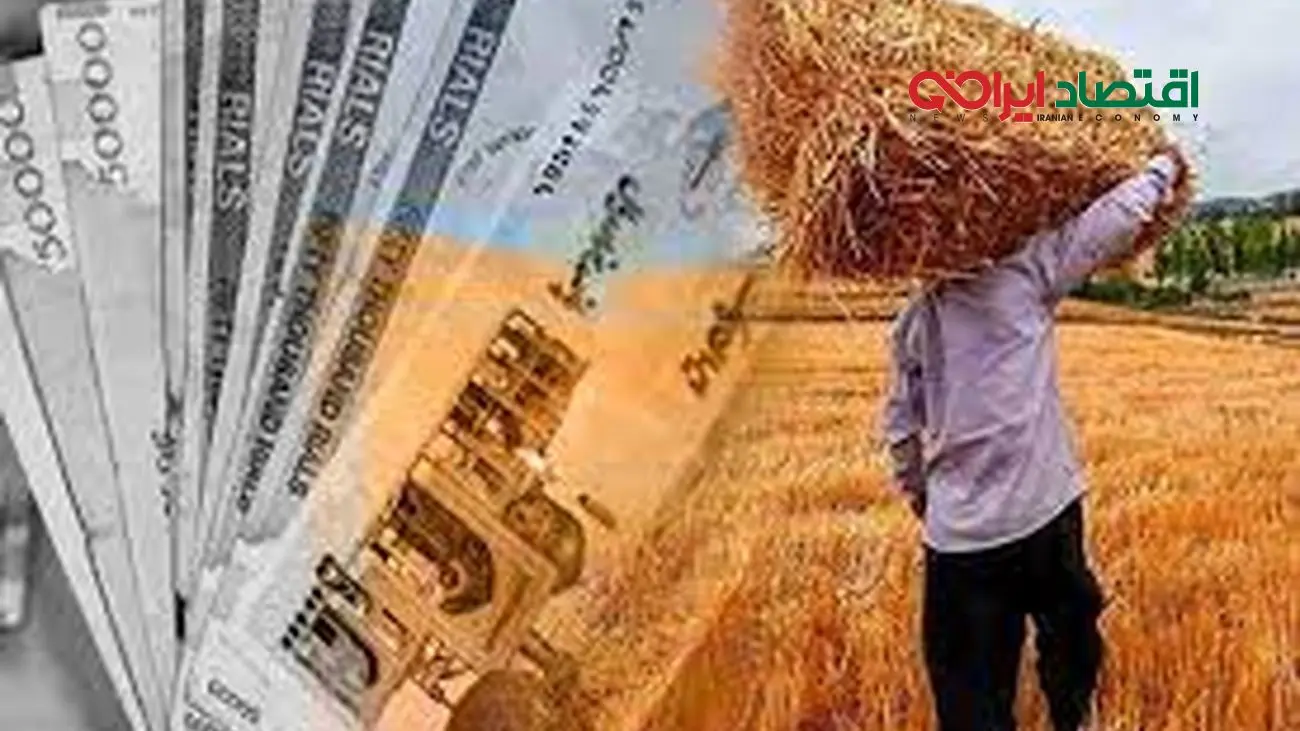 خبر مهم/زمان تسویه حساب گندمکاران اعلام شد!