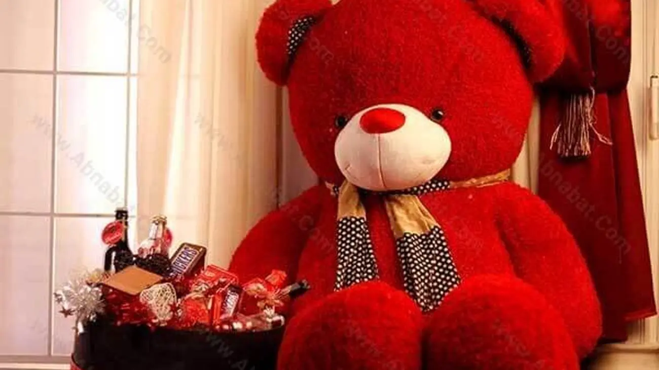 قیمت نجومی خرس برای شب ولنتاین / فقط چند میلیون ناقابل !