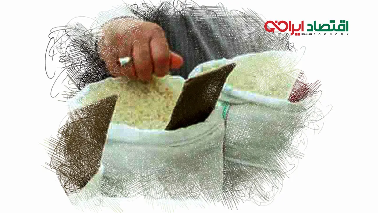 برنج در دیگ سلفخَرها میجوشد / دولت هم پول خرید برنج ایرانی ندارد