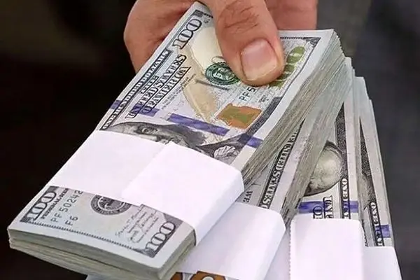 ۲۰ میلیارد دلار ارز صادراتی گم شد!