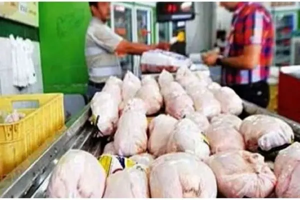 صادرات مرغ به بالای ۱۸ هزار تن رسید