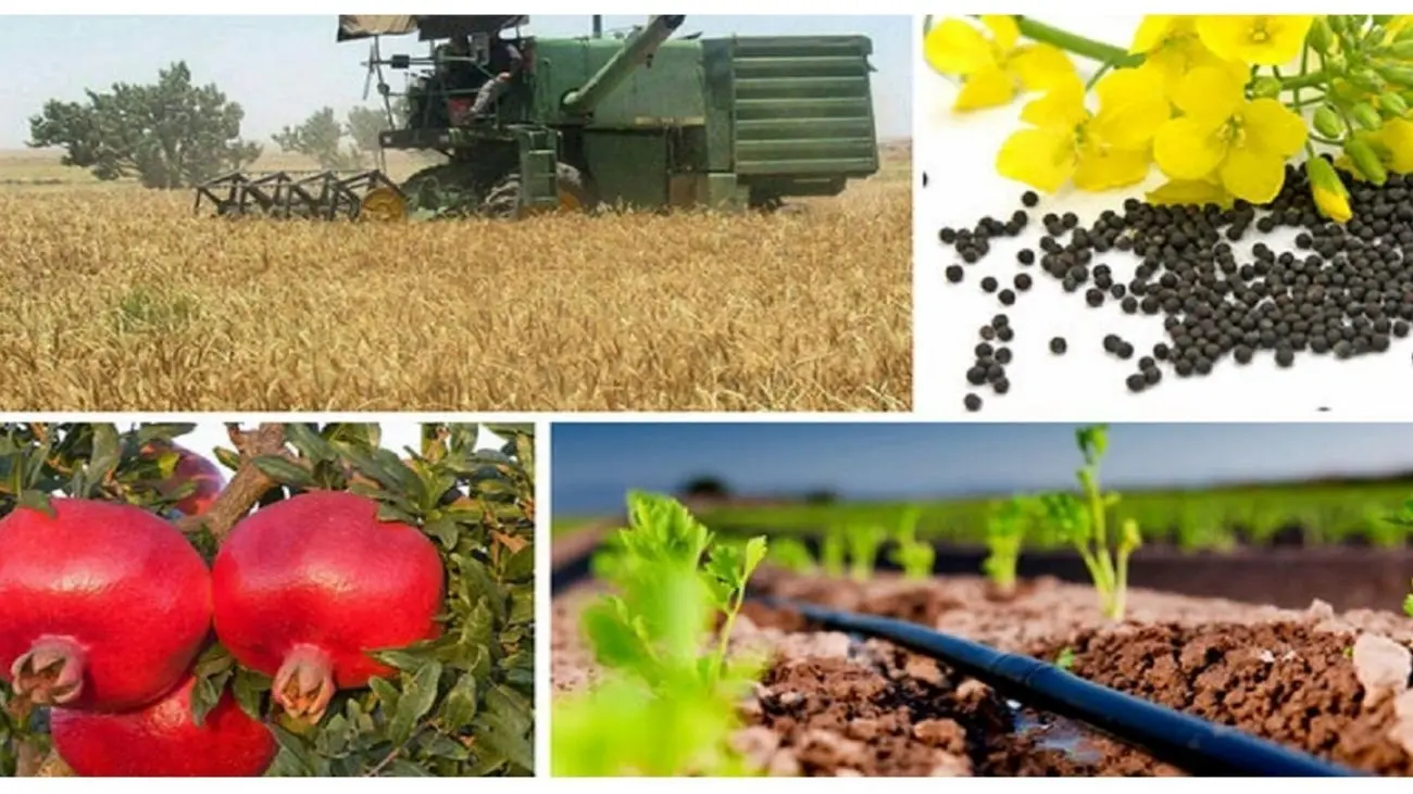 مزارع قزاقستان امنیت غذایی ایران را تامین می کنند؟