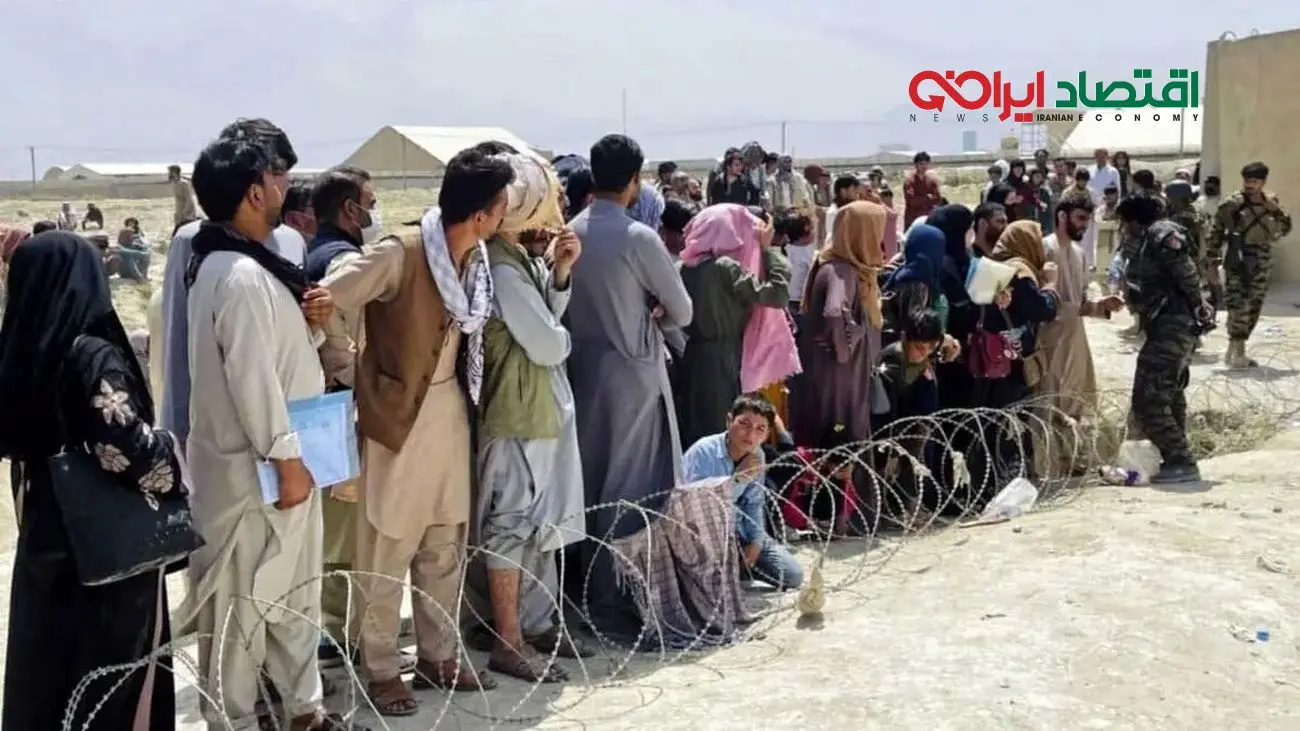 کارگران افغانستانی تحت پوشش بیمه تامین اجتماعی قرار گرفتند!