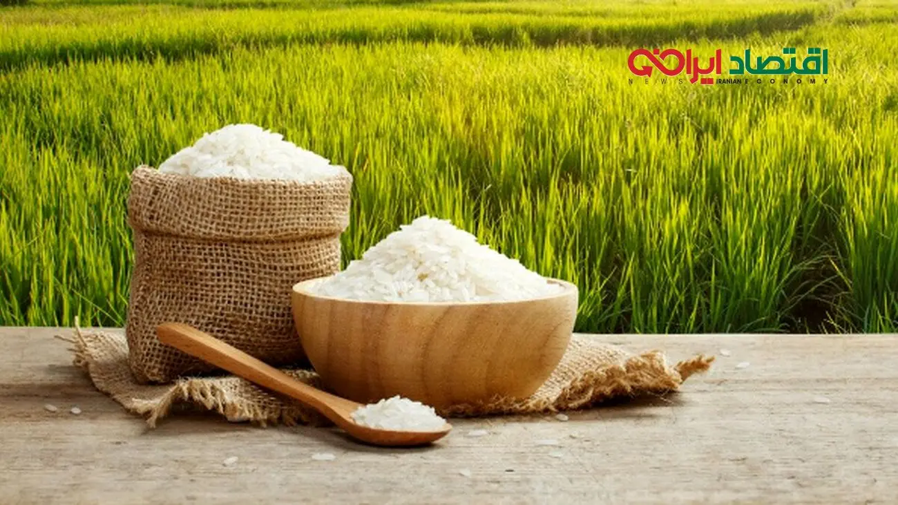 جدول قیمت برنج ایرانی ۲۵ شهریور ۱۴۰۴